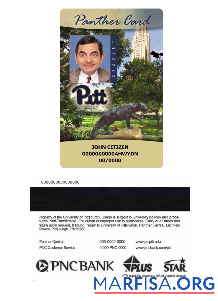Downloadable USA The University of Pittsburgh Student ID card, Panther card example